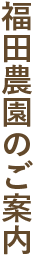 福田農園のご案内